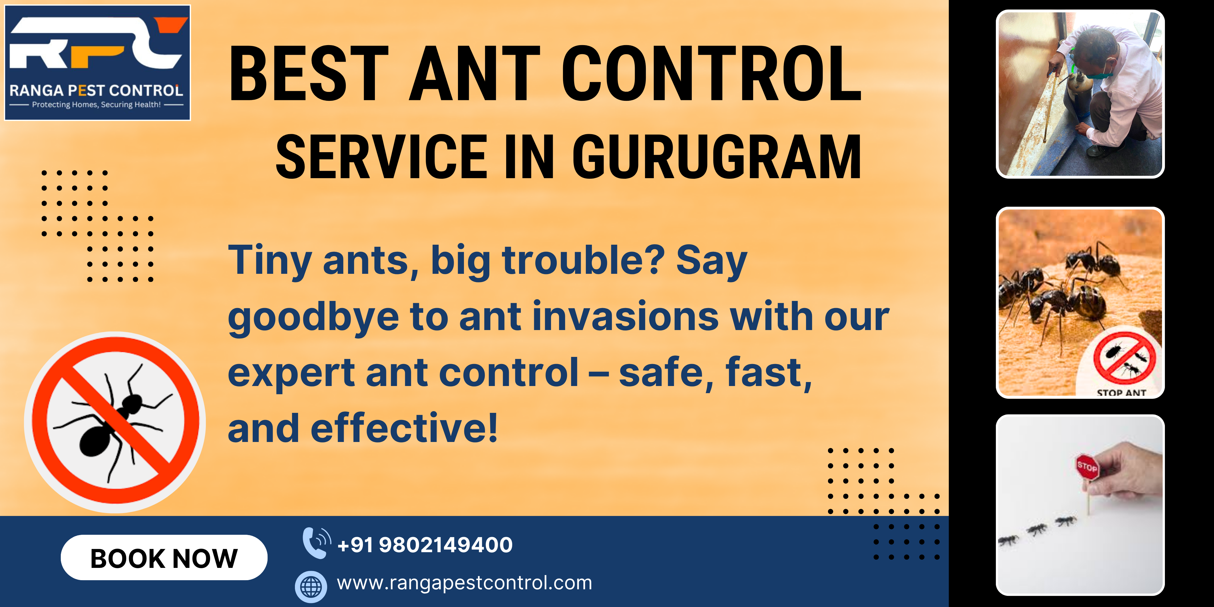 Best Ant Control in Gurugram