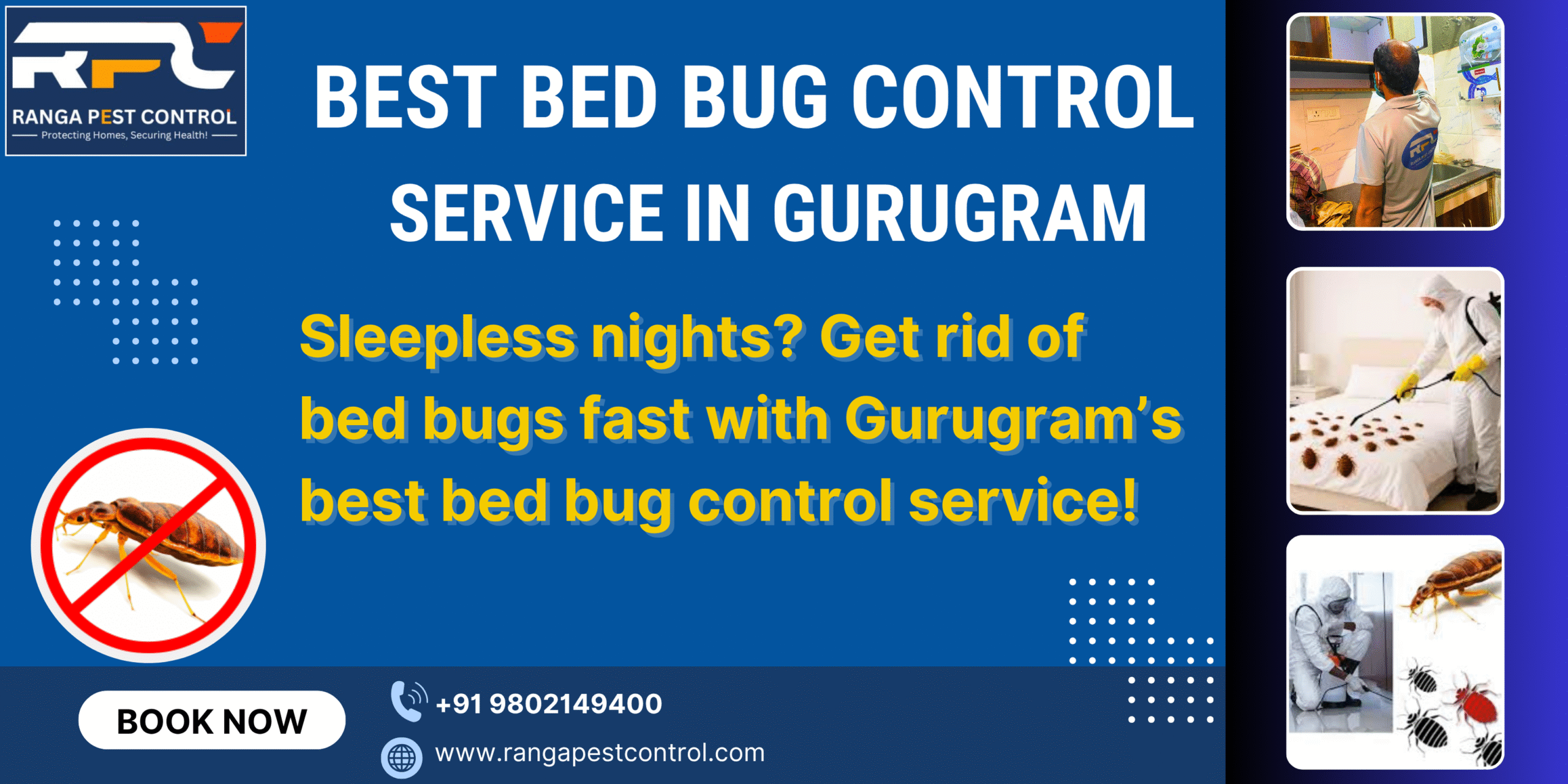 Best Bed Bugs Control Service in Gurugram