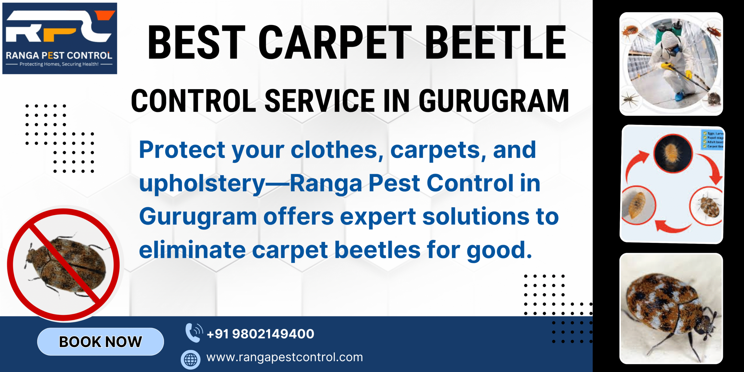 Best Carpet Beetle Control In Gurugram