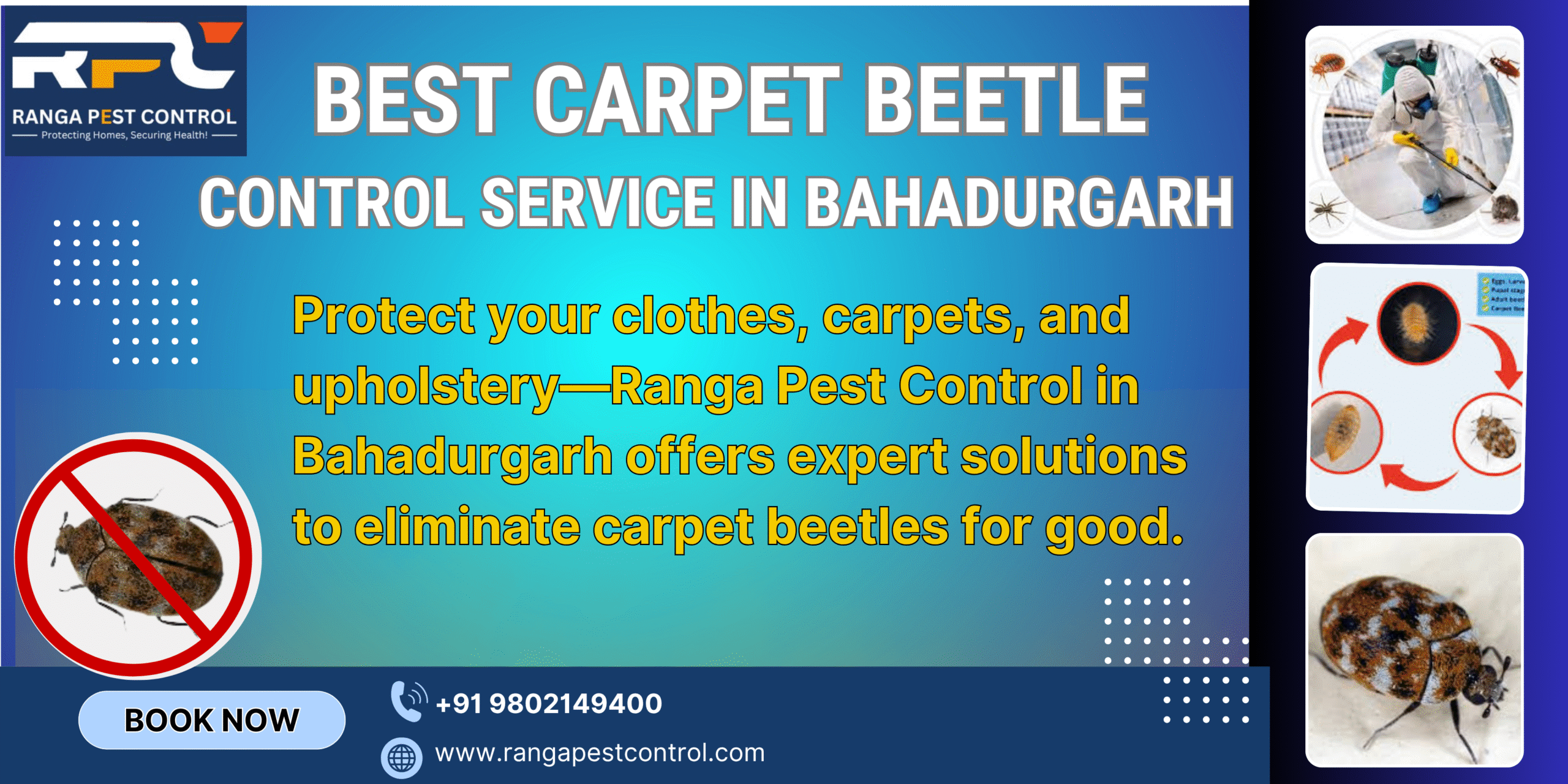 Best Carpet Beetle Control Service in Bahadurgarh