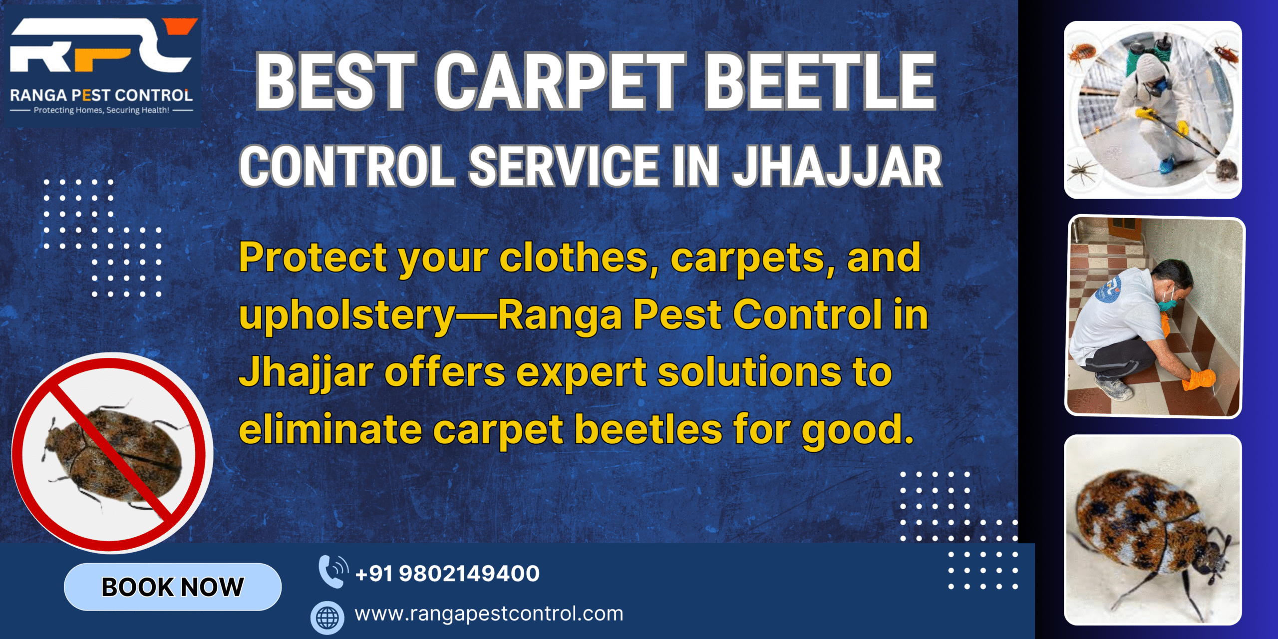 Best Carpet Beetle Control in Jhajjar