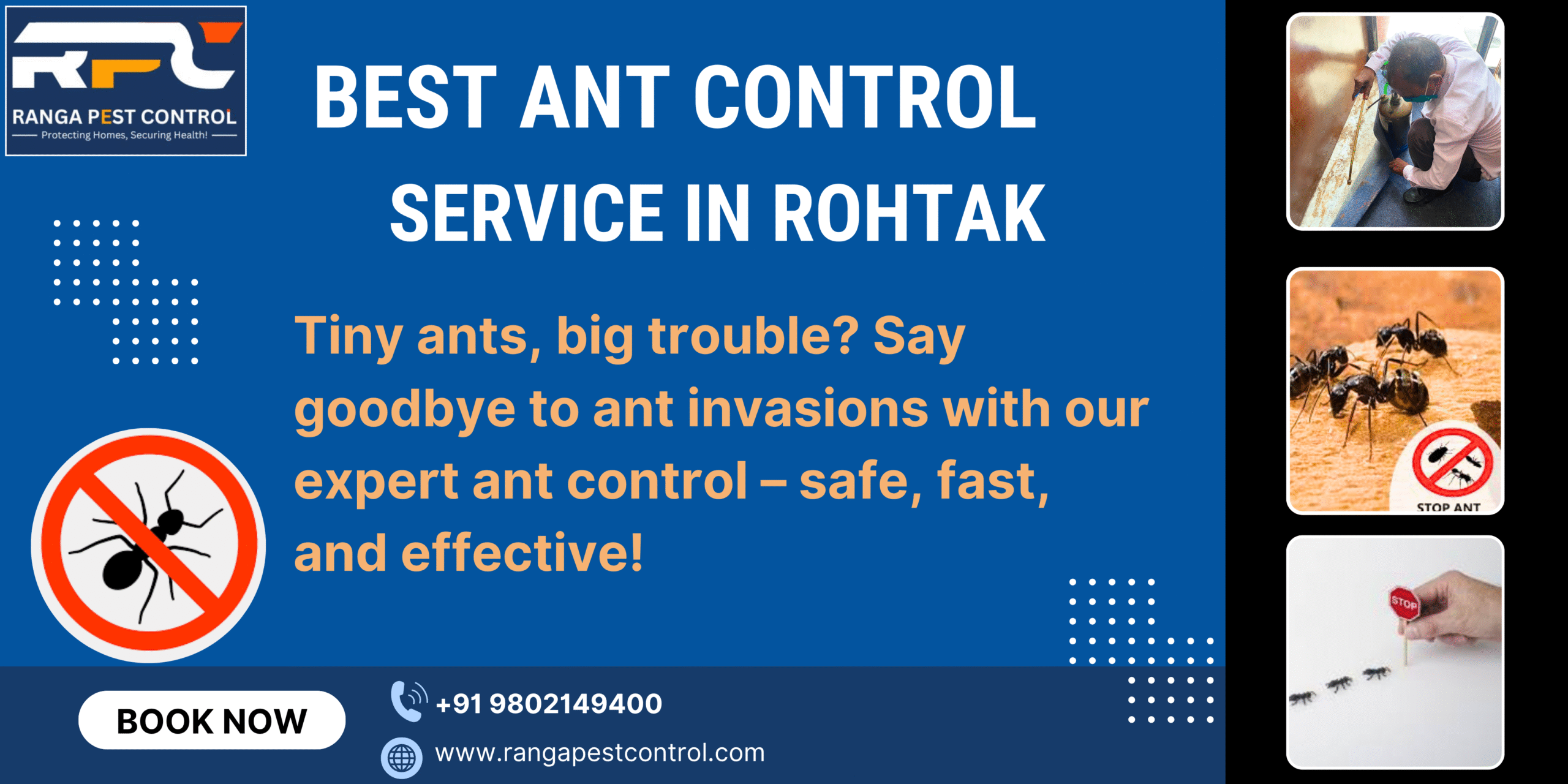Best Ant Control Service in Rohtak