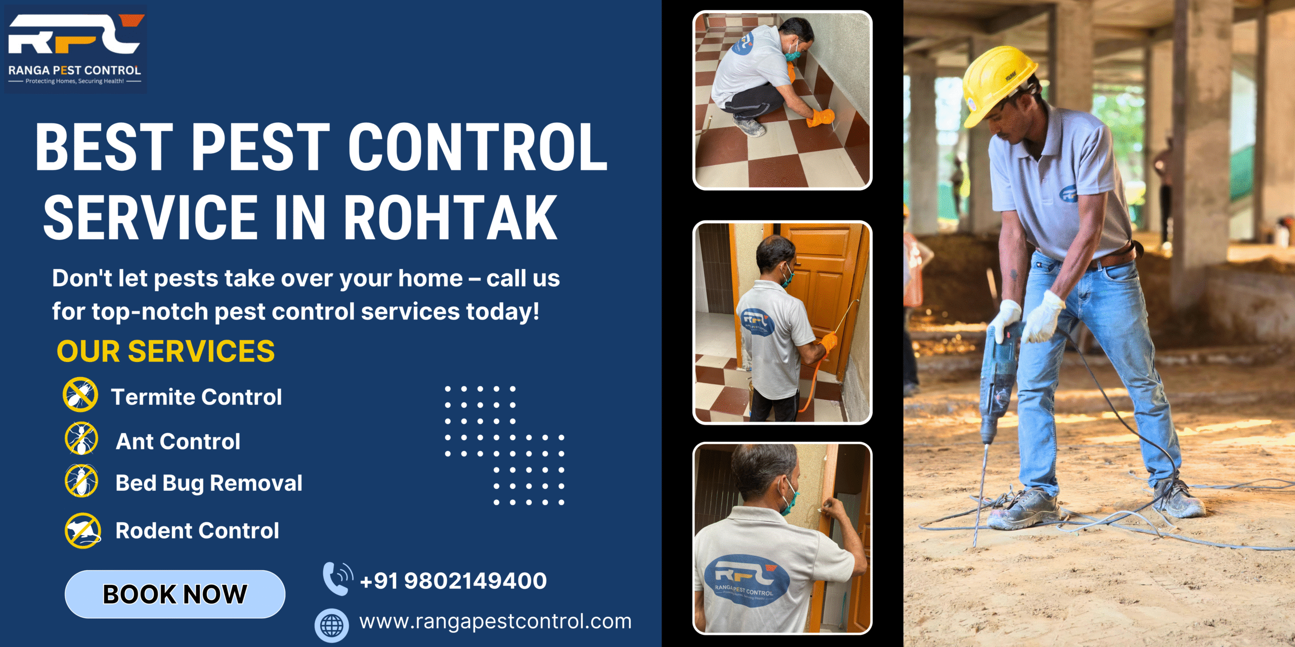 Pest Control in Rohtak