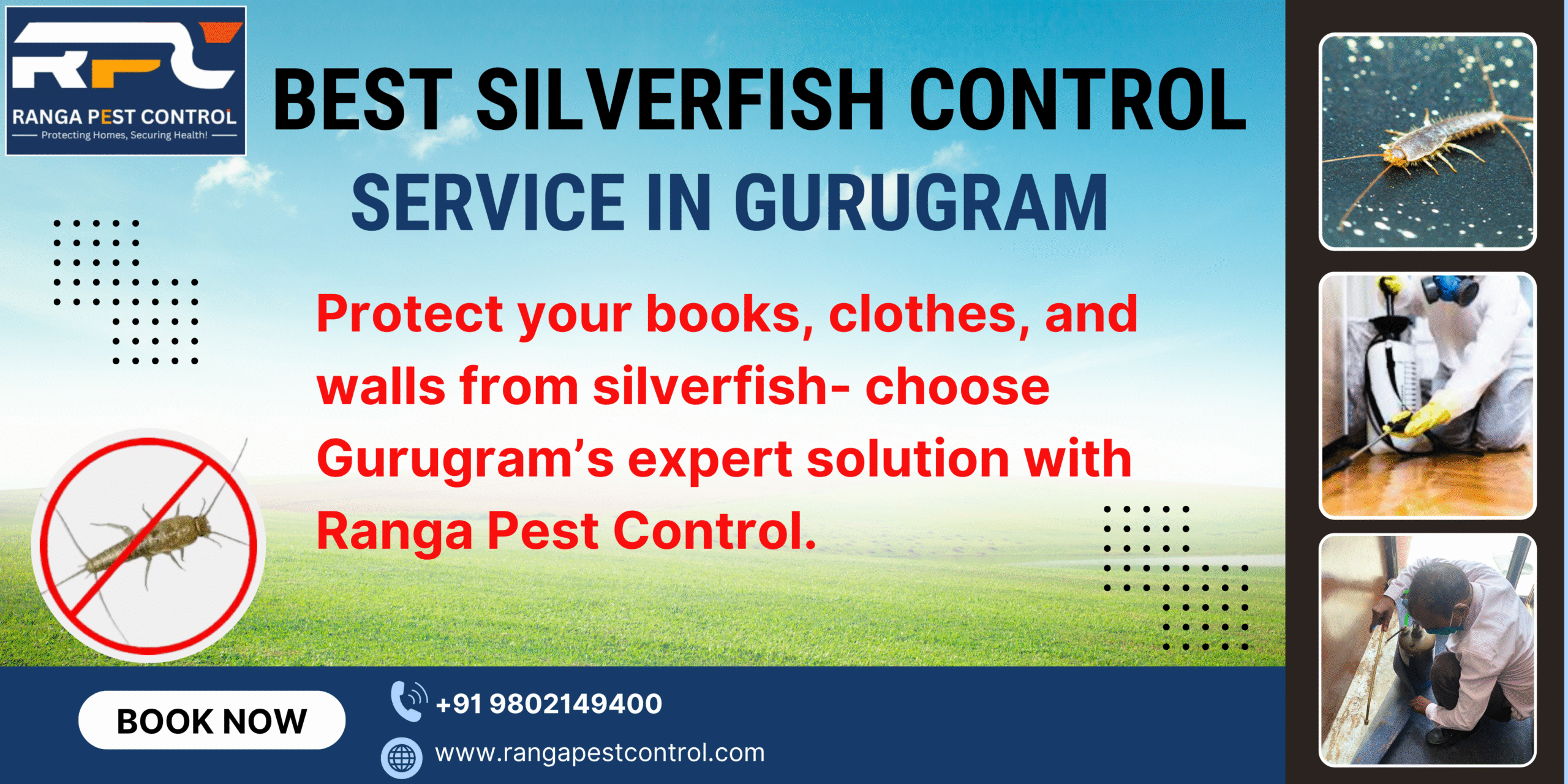 Best Silverfish Control Service in Gurugram