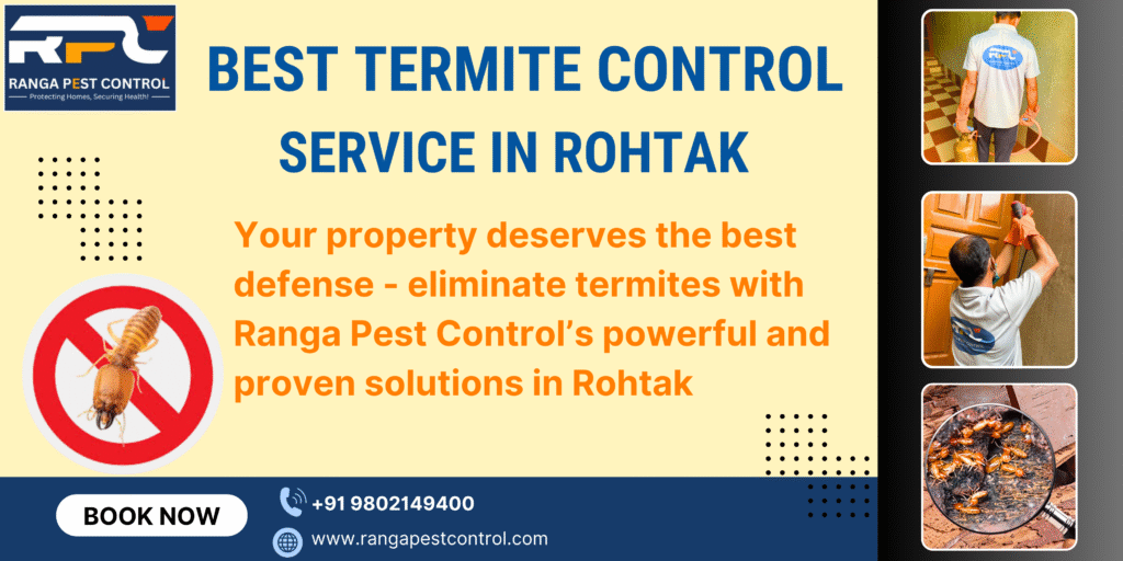 Termite Control in Rohtak
