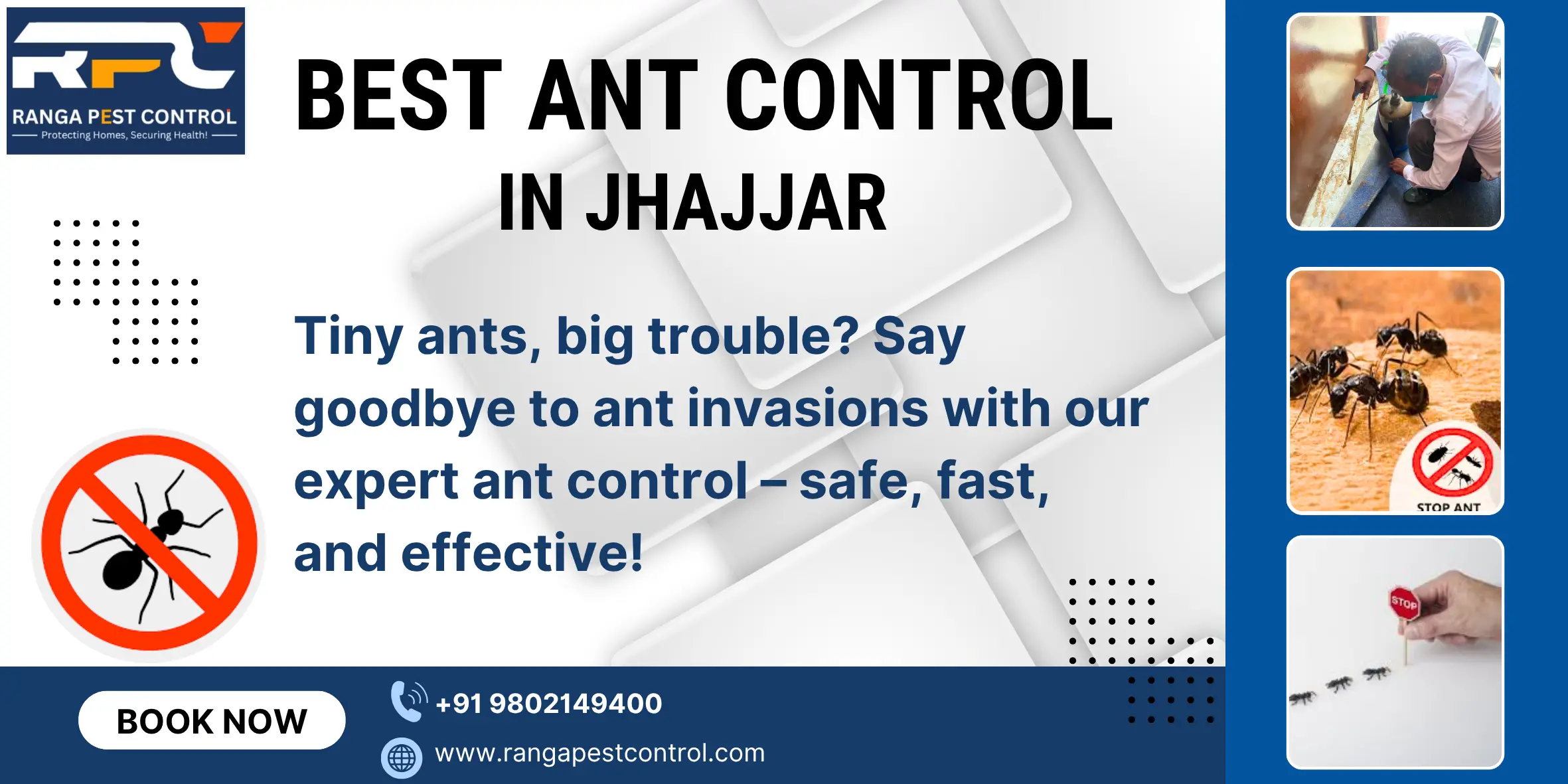 Best Ant Control in Jhajjar