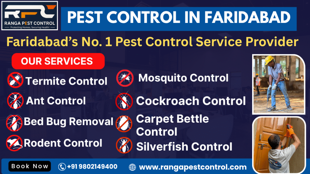 Pest Control in Faridabad
