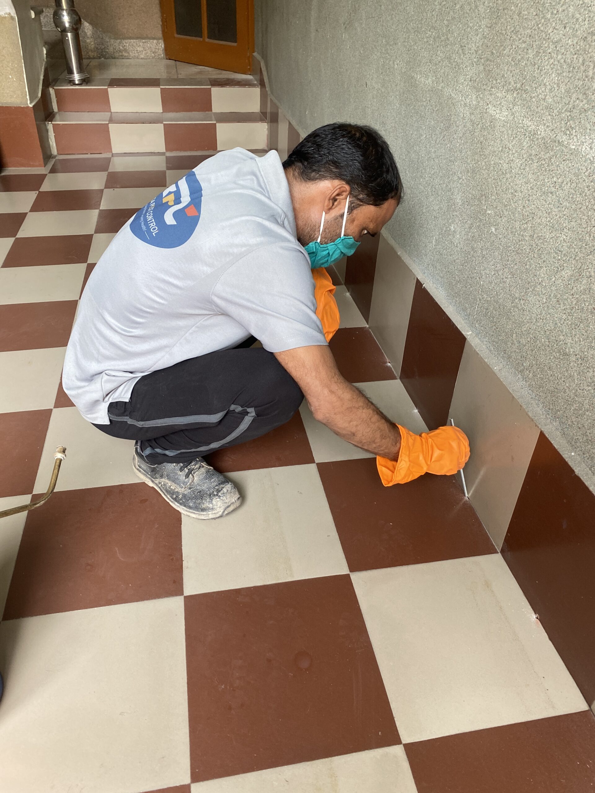 Pest Control in Chaukhutiya
