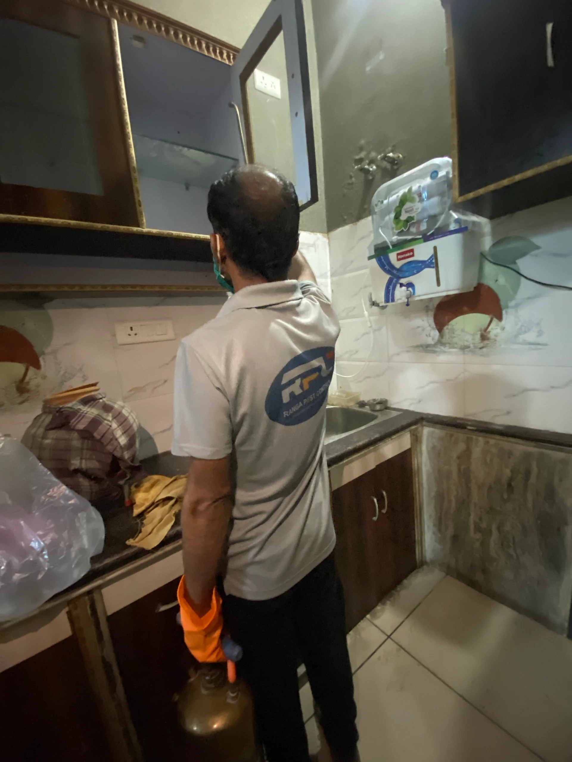 Pest Control in Purnagiri
