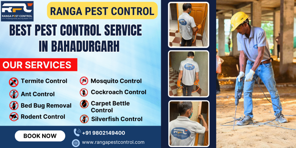 Best Pest Control in Bahadurgarh